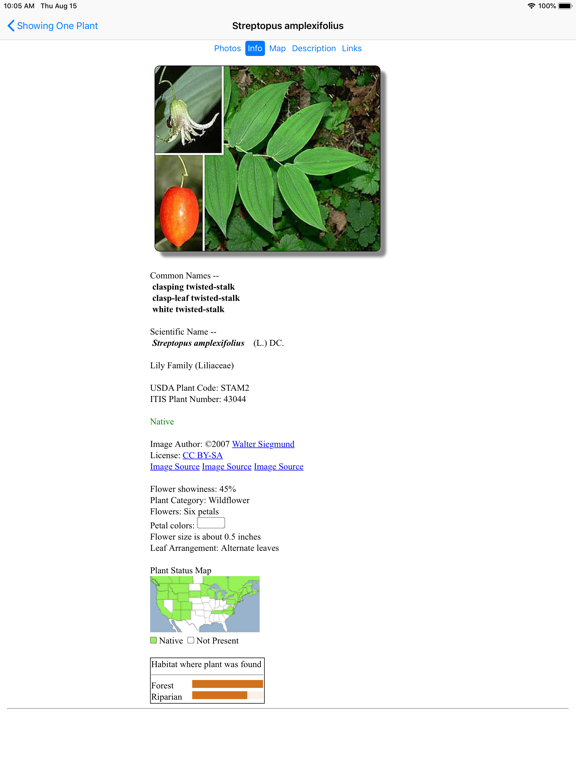 Screenshot #6 pour North Carolina Wildflowers