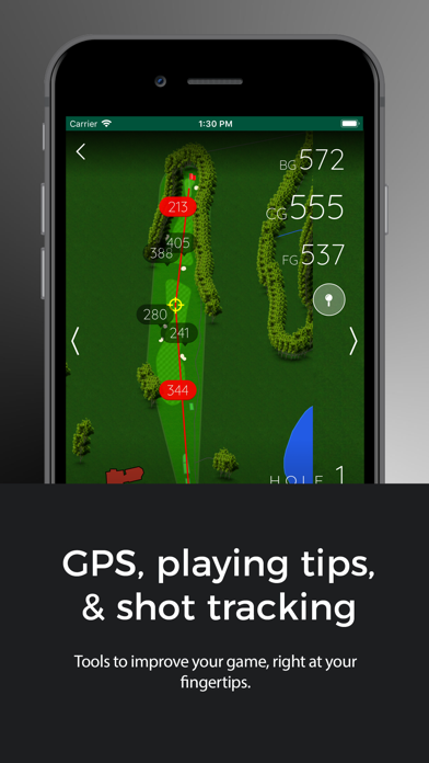 Southern Oaks Golf Club screenshot 3