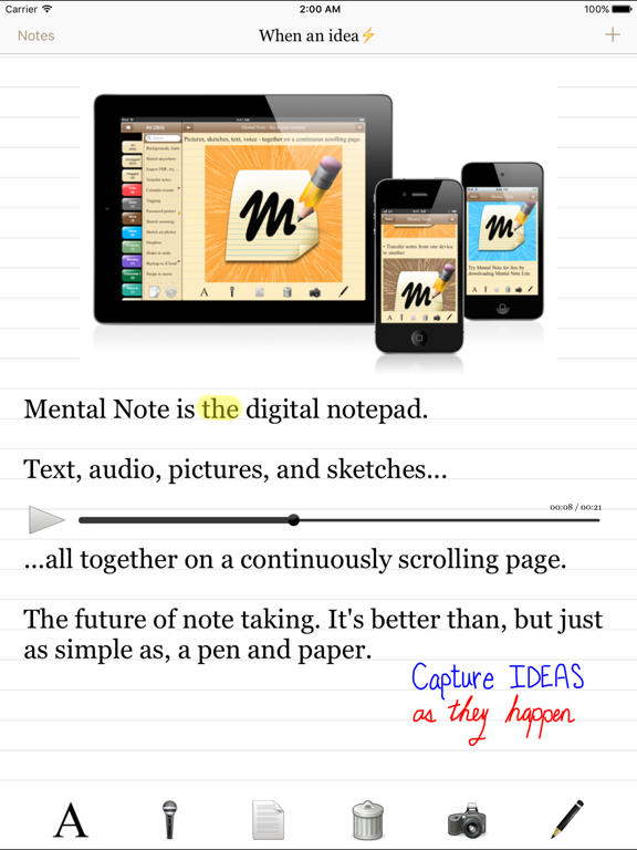 Screenshot #4 pour Mental Note for iPad ๛