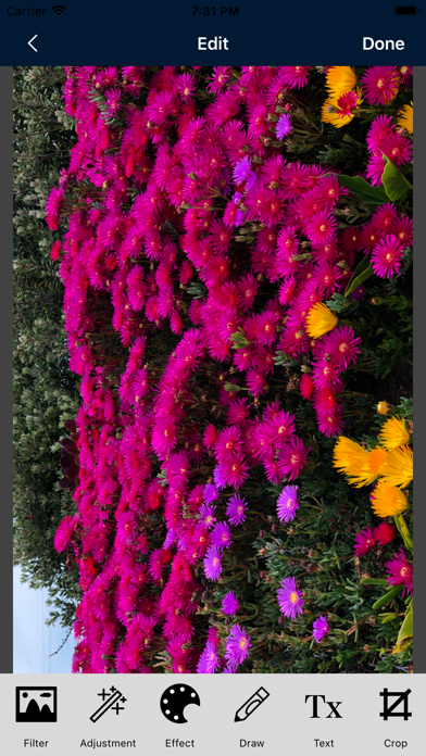 photopix screenshot