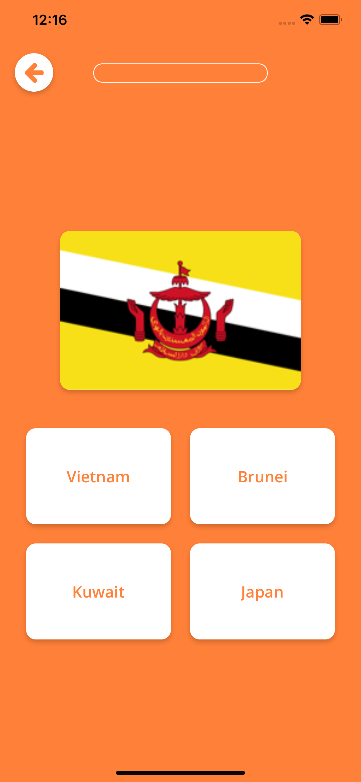 Flags 4 Fun screenshot 7