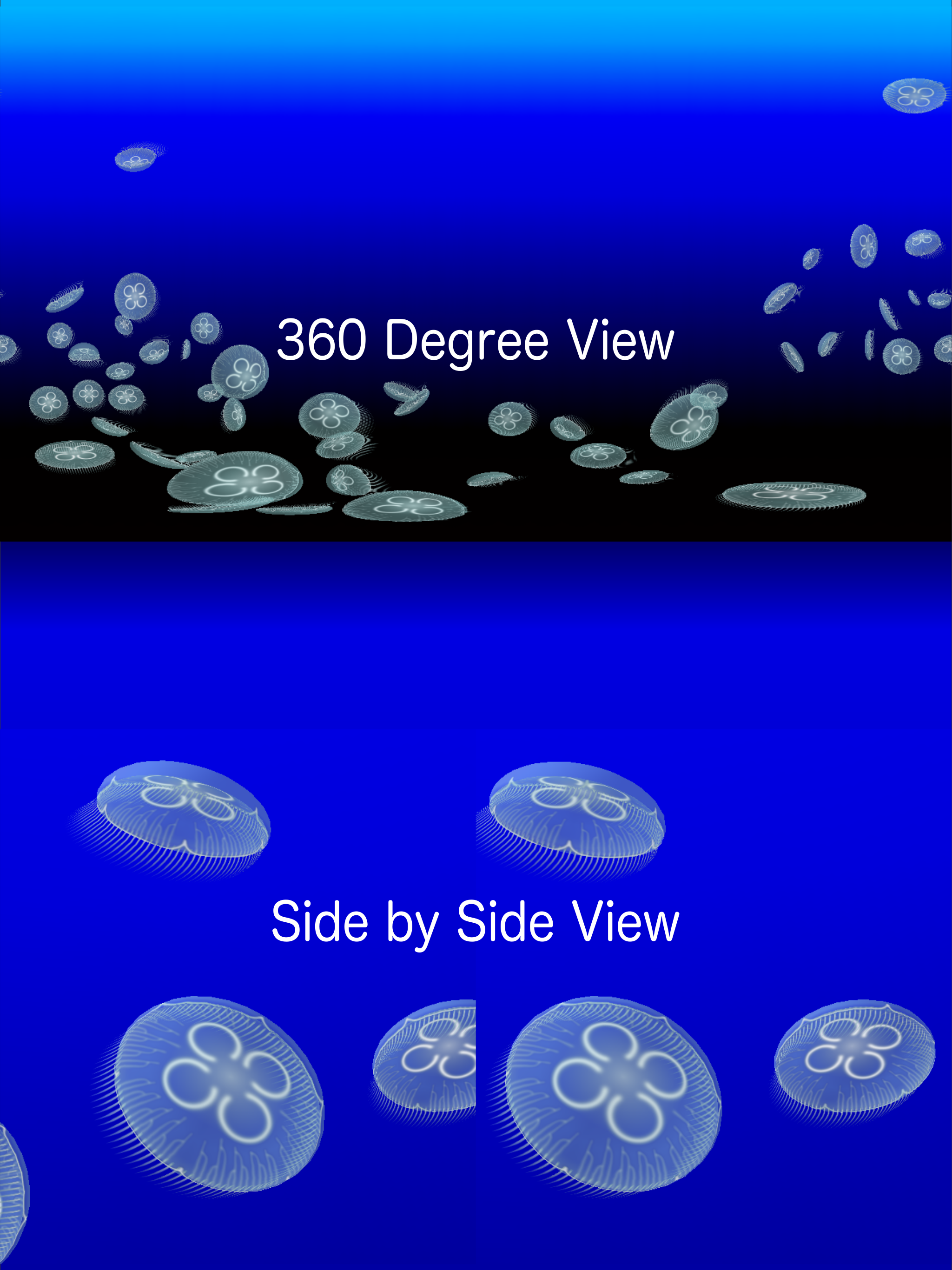 Jellyfish AR/VR