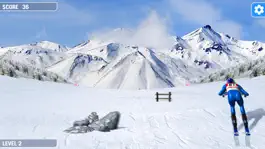 Game screenshot Downhill Skiing champion mod apk