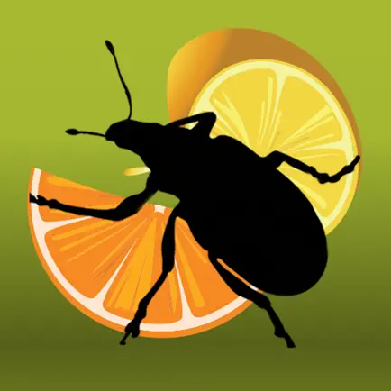 Citrus Pests Key Cheats