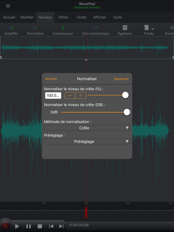 WavePad – Éditeur audio iPad screenshot 4 - Photo & Video app