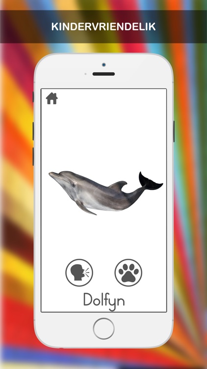 100+ Dieregeluide in Afrikaans screenshot-3