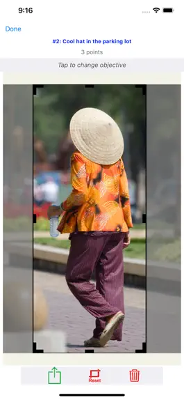 Game screenshot Scavvy Pics apk