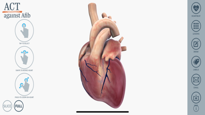 3D Heart Education screenshot 3