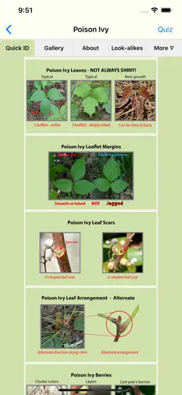 Game screenshot Rash Plants apk