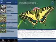 Schmetterling Id - Tagfalter ipad bilder 0