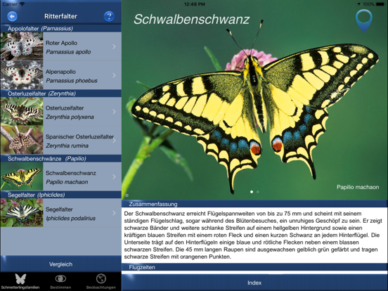 Screenshot #4 pour Schmetterling Id - Tagfalter