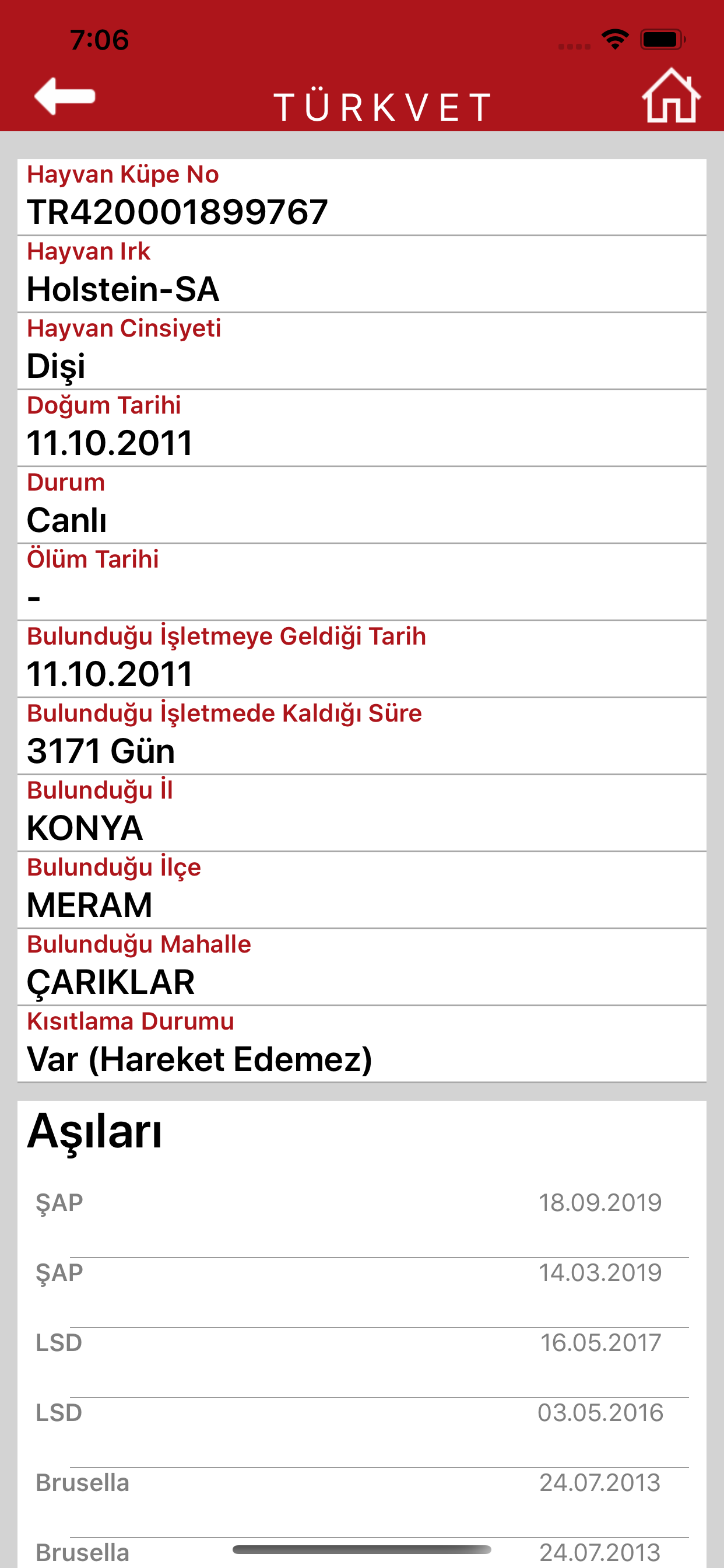 Türkvet