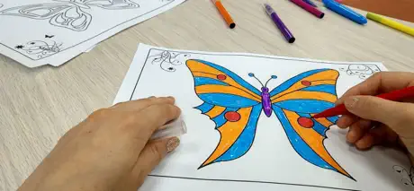 AR Butterflies and Flower Lite