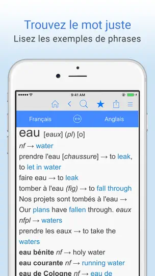 Capture d'écran de Dictionnaire Français Anglais sur iPhone 3