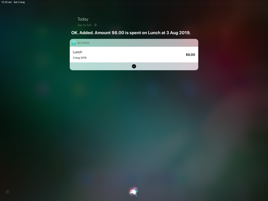 Seconds Expense iPad screenshot