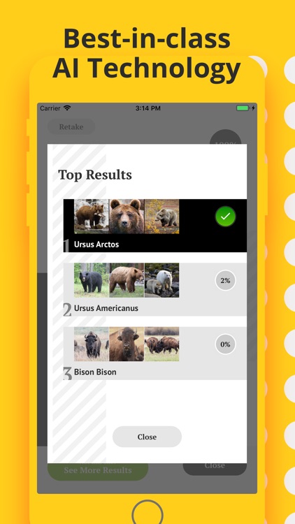Animal Identifier. screenshot-3