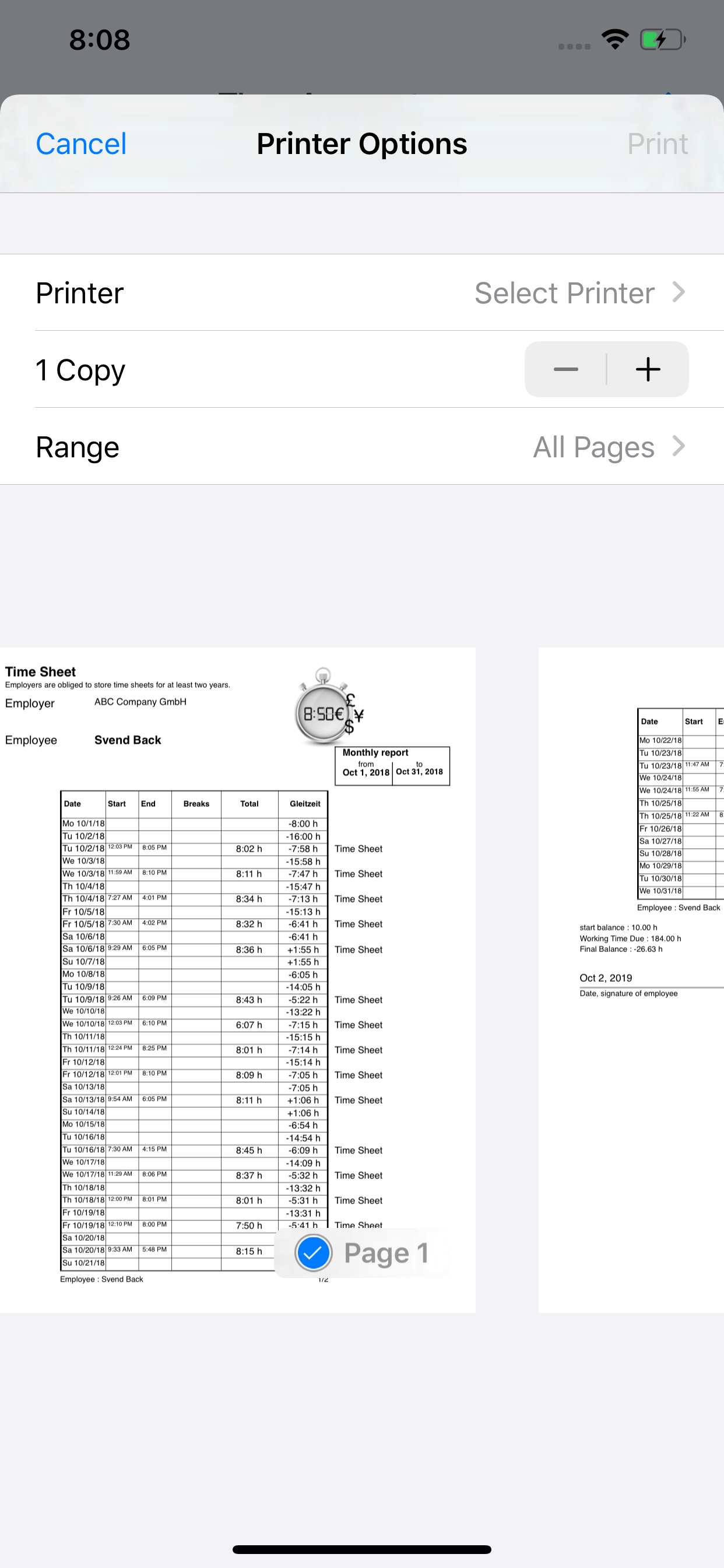 Times & Wages, Projects Timer