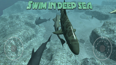 Real Shark Simulator Screenshot
