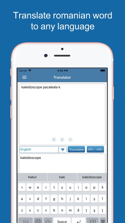 Romanian Dictionary Pro screenshot-4