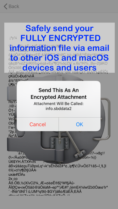safe deposit box Screenshot