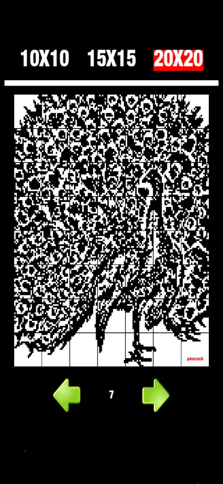 Nonogram 7