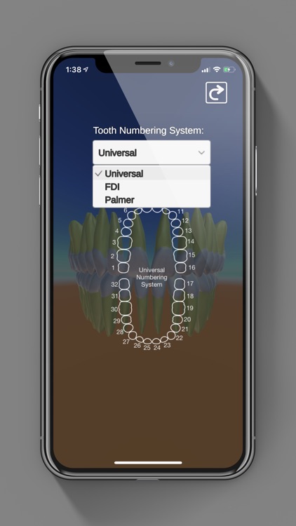 3D Tooth Anatomy screenshot-4