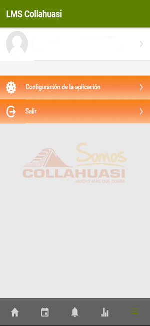 LMS Collahuasi(圖5)-速報App