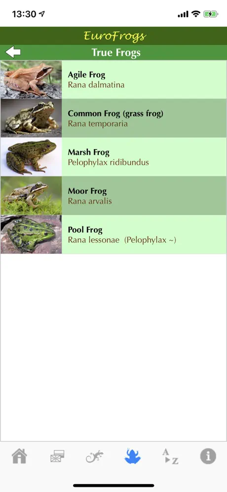 EuroFrogs