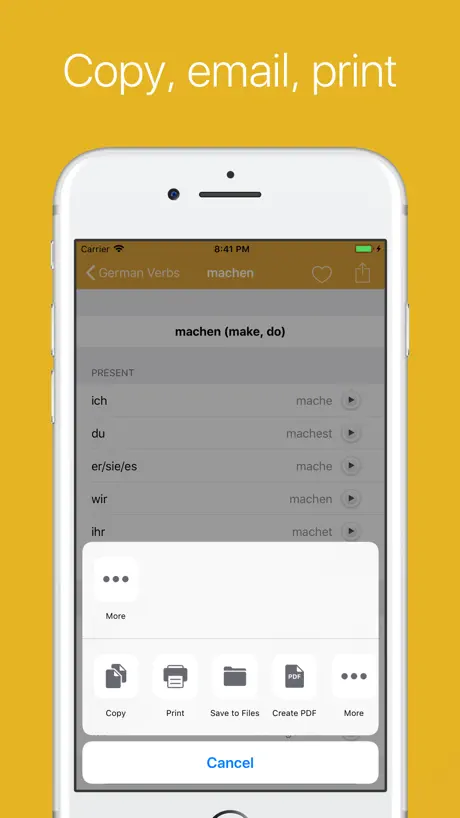 German Verb Conjugator Pro