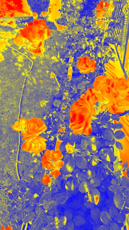 Thermal Heat - Live Camera screenshot-3