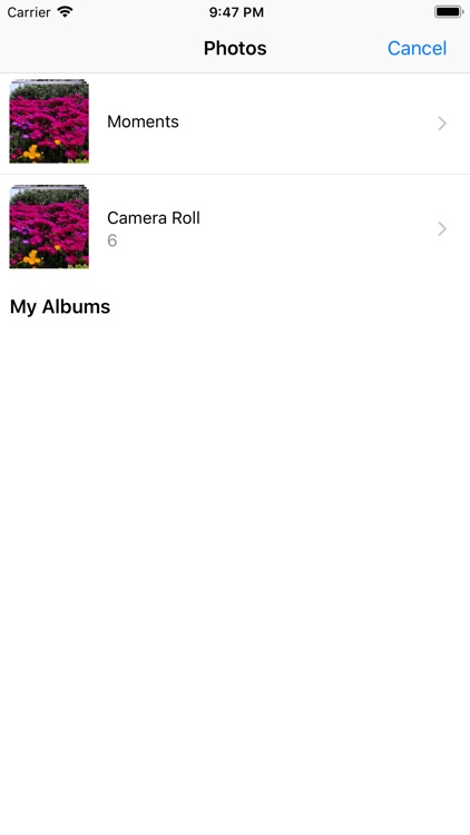HoloPhotos screenshot-3