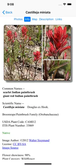 Game screenshot Wyoming Wildflowers hack