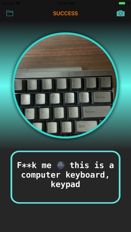 Egyptian Cat - AI EYE