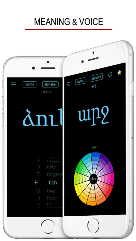 Armenian Words & Writing