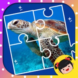 丫丫海洋动物拼图-智力开发游戏