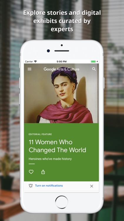 Google Arts & Culture screenshot-3