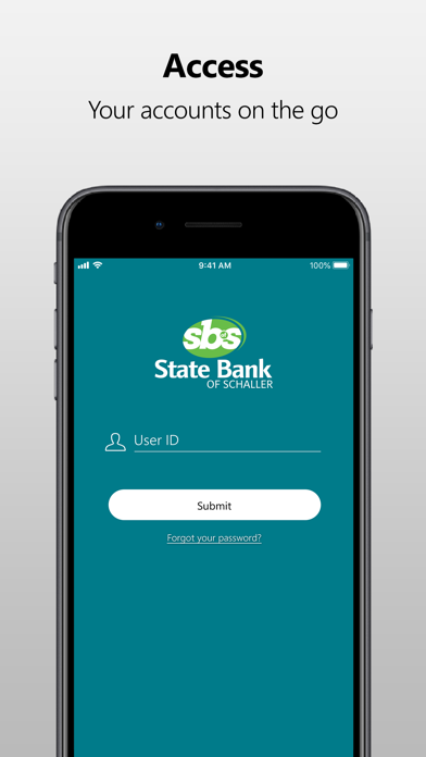 State Bank of Schaller Screenshot