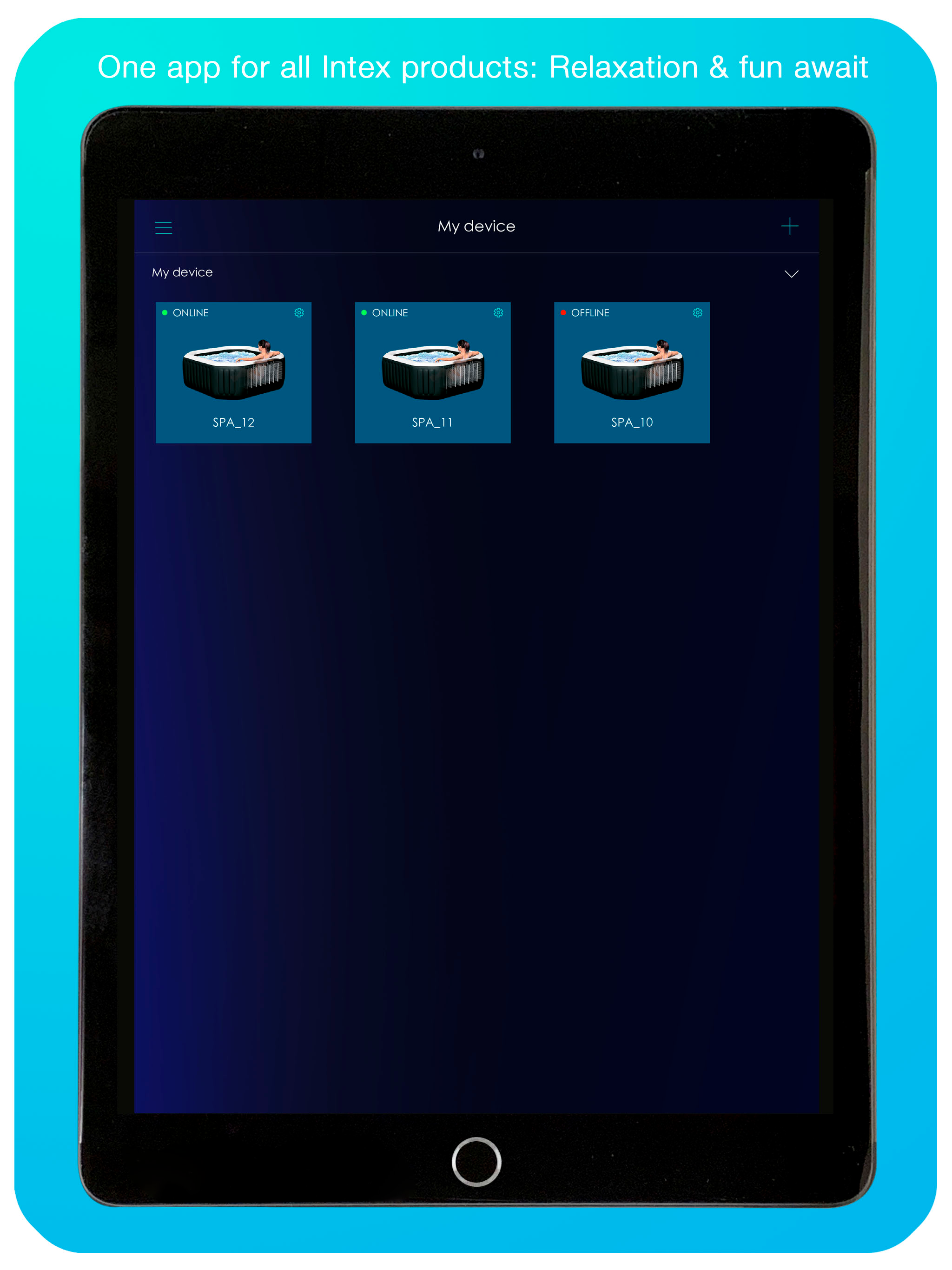 Intex Link -Spa Management App
