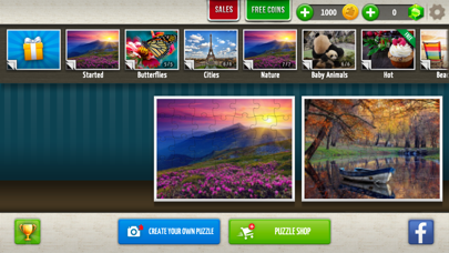 Jigsaw Puzzles World free Resources hack