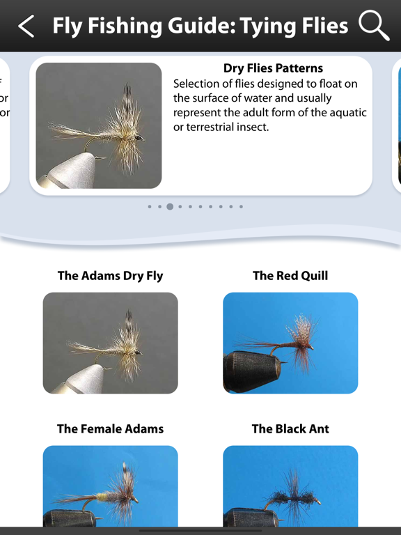 Screenshot #6 pour Guide de pêche à la mouche