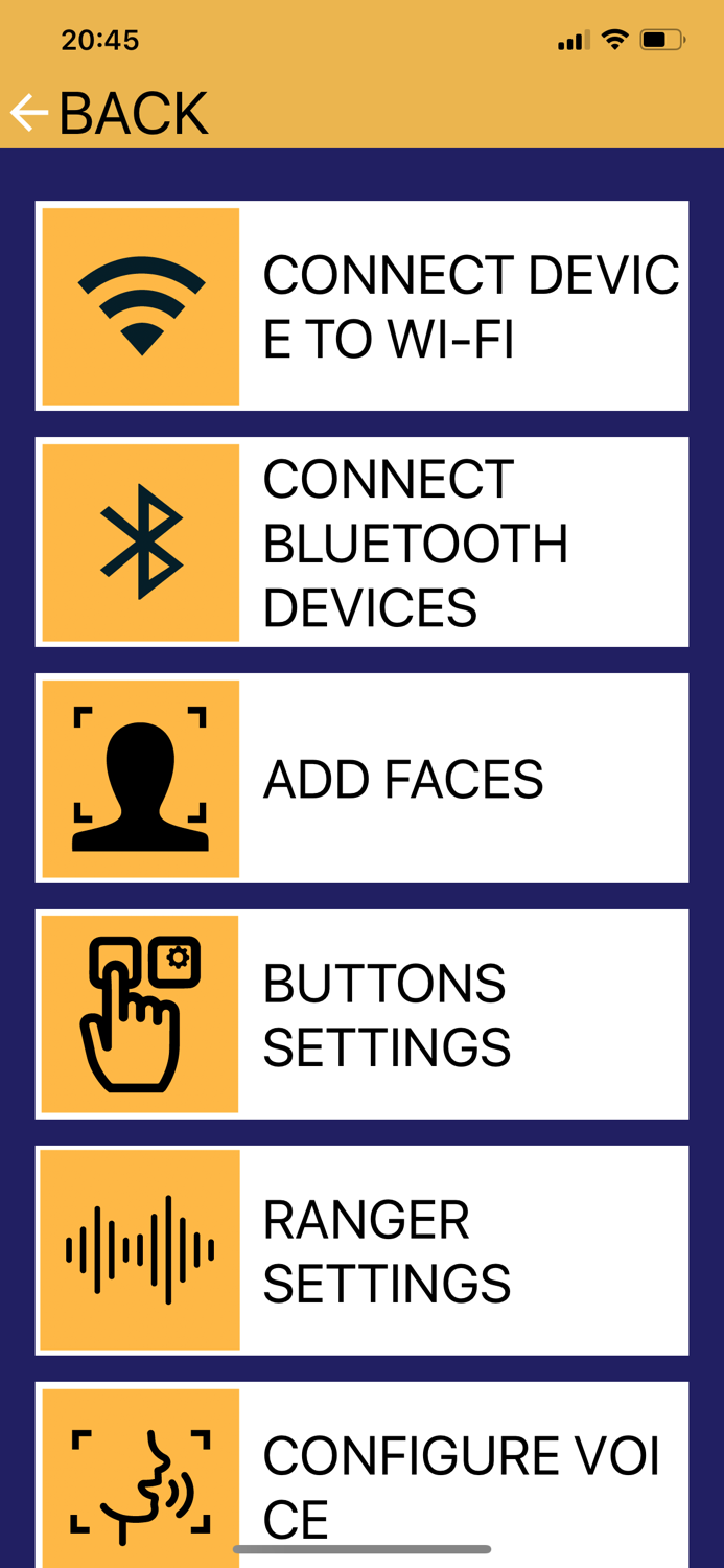 Robin - the smart cane