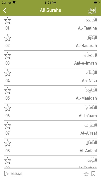 Quraan-E-Karim (11 Lines)