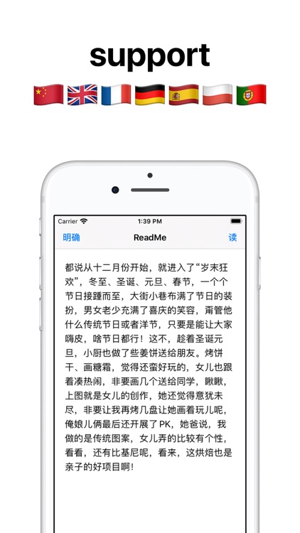 Text to speech reader