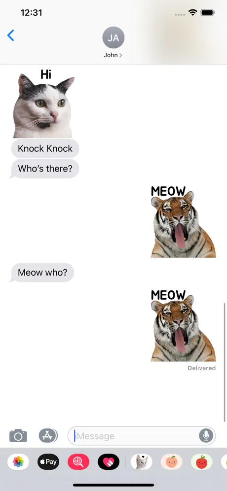 Real Funny Cats