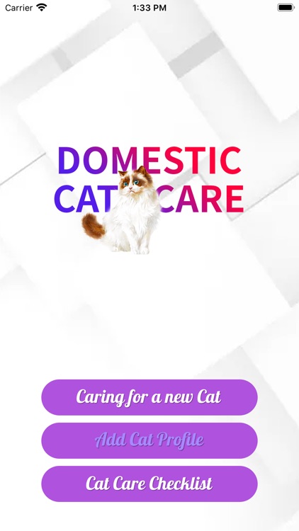Domestic Cat Care