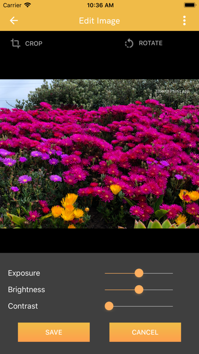 Liberty Photo App Screenshot