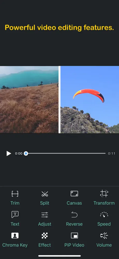 Perfect Video