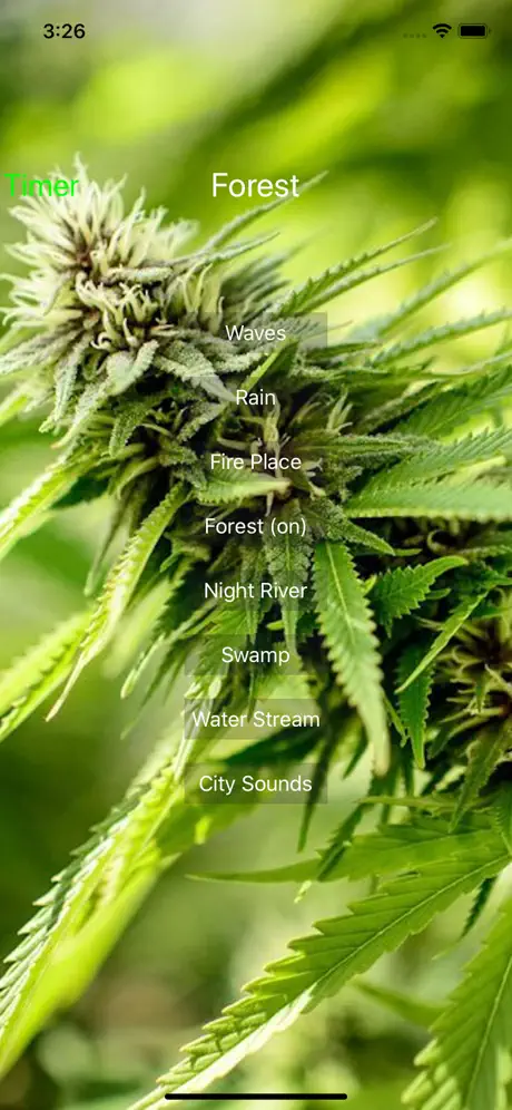 Weed-Laxing Sound