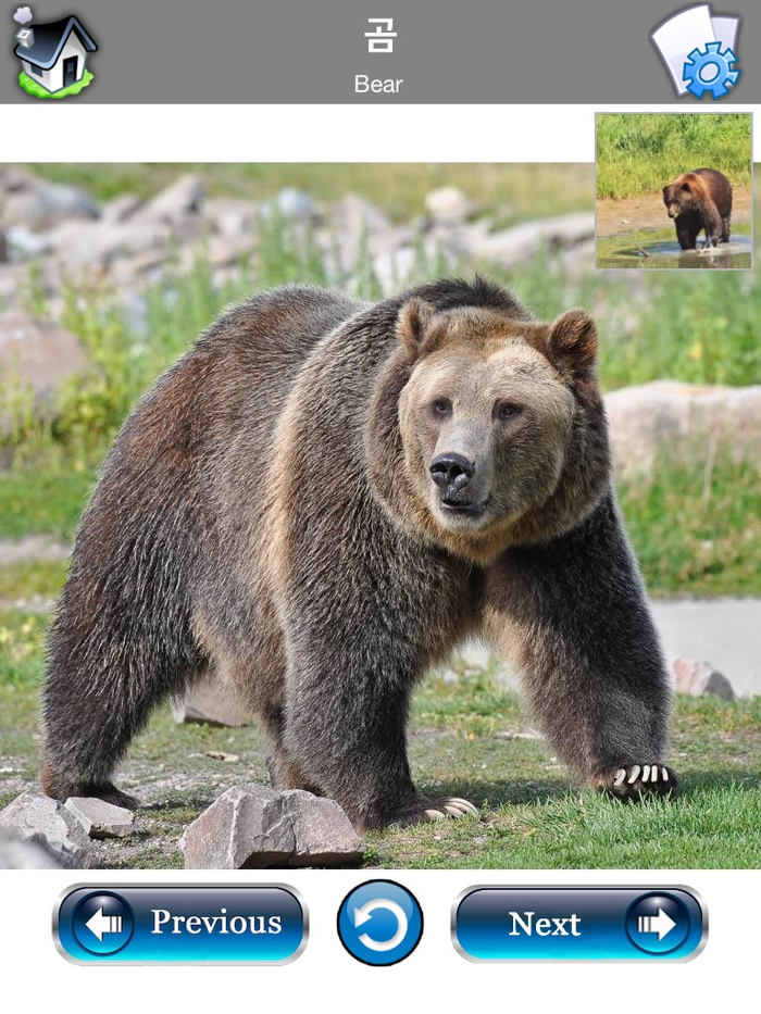 Learn Korean - Flash Cards