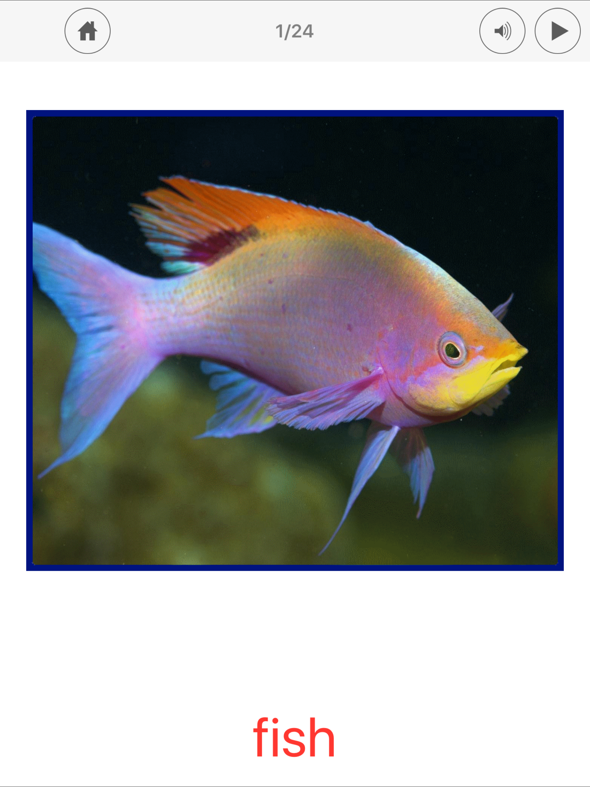 Sea Animals. Learning Cards
